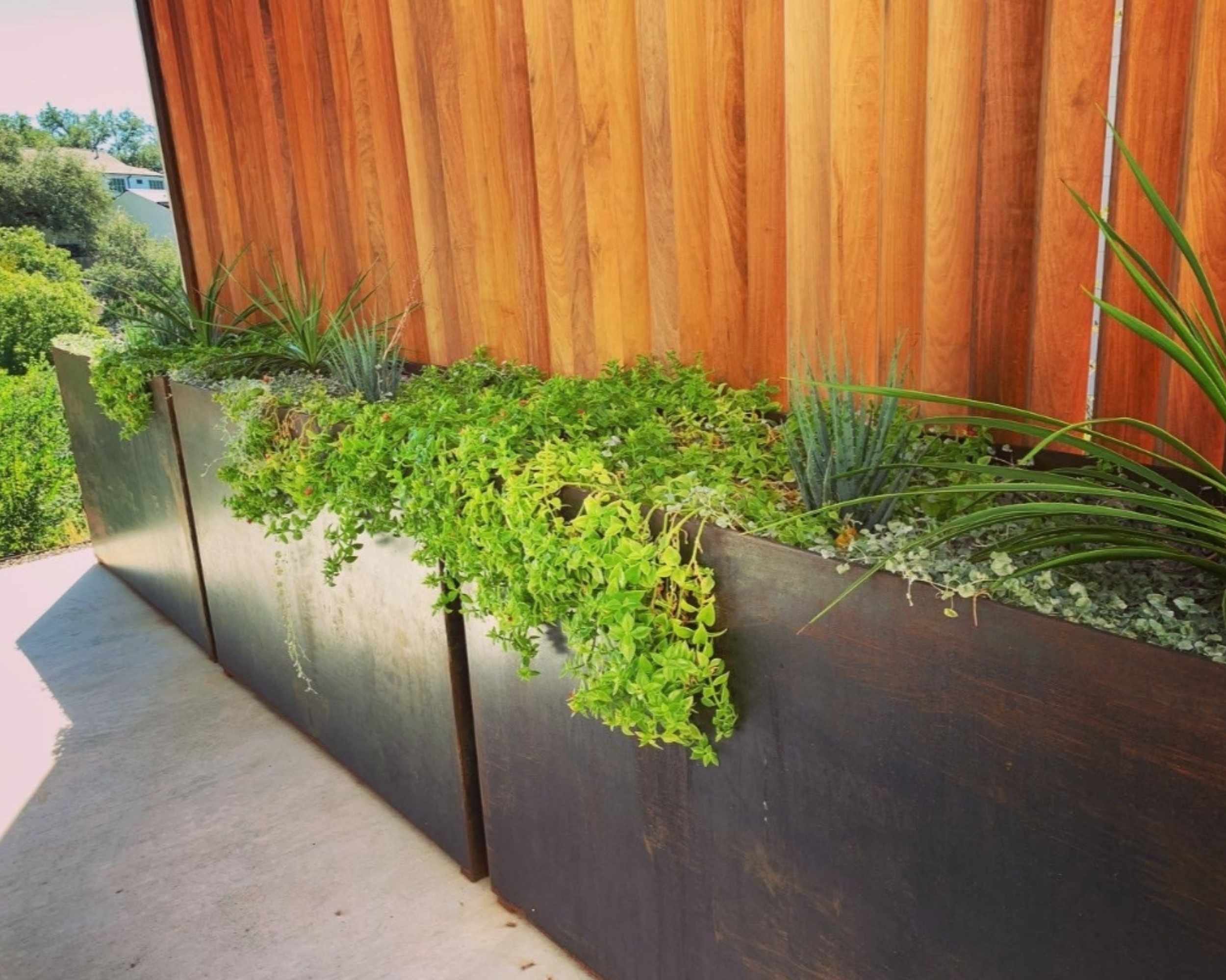 landscape design in Texas