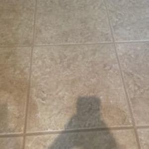 Gallery image 13 — pet stain removal Phoenix