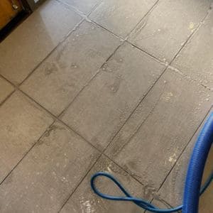 Gallery image 6 — pet stain removal Phoenix