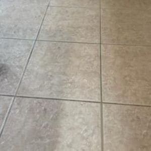 Gallery image 16 — pet stain removal Phoenix