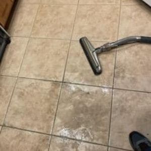 pet stain removal Phoenix