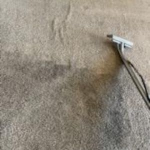 Gallery image 8 — pet stain removal Phoenix