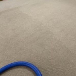 Gallery image 2 — pet stain removal Phoenix