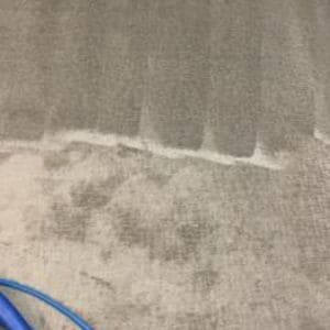 Gallery image 12 — pet stain removal Phoenix
