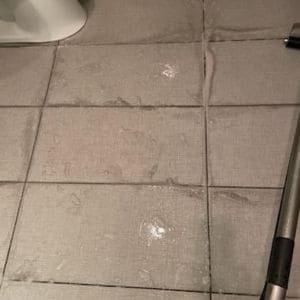 Gallery image 9 — pet stain removal Phoenix