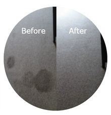 Gallery image 5 — carpet cleaning in Tempe