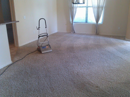 Gallery image 3 — carpet cleaning in Tempe
