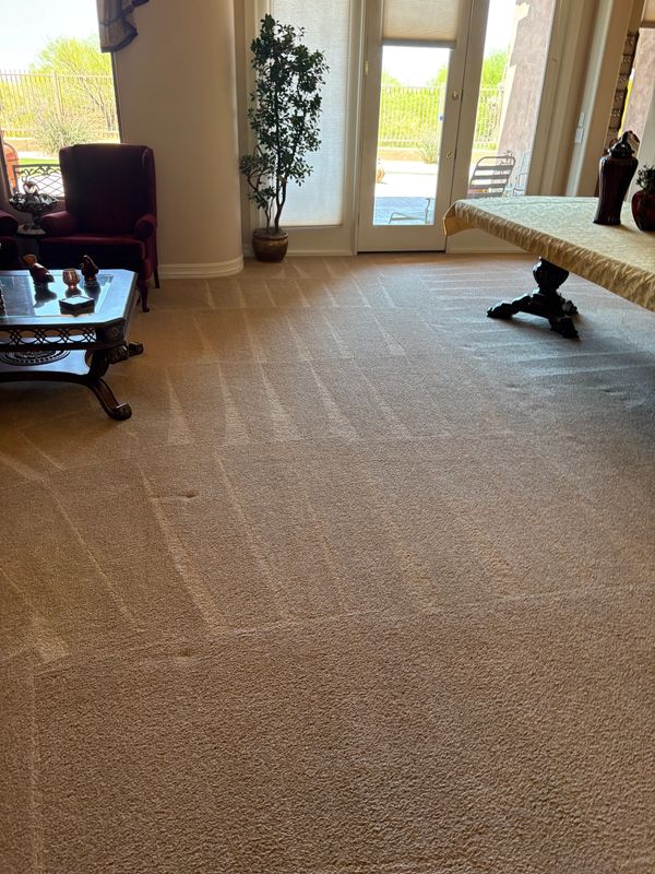 About Emerald Cleaning Services