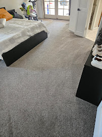 pet stain removal near me