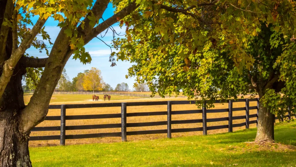 Gallery image 6 — farm fence installation Atlanta