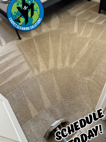 Gallery image 2 — carpet cleaning in Mesa