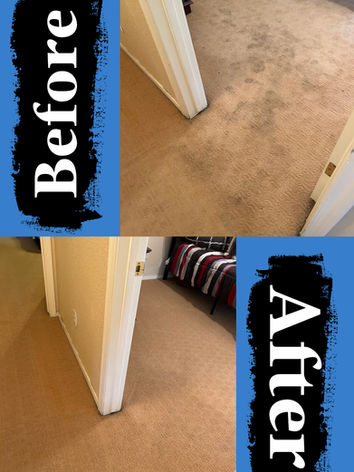 Gallery image 5 — carpet cleaning in Mesa