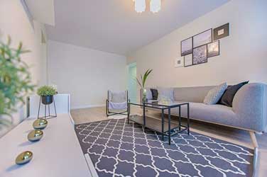 Gallery image 4 — top rated carpet cleaning Mesa