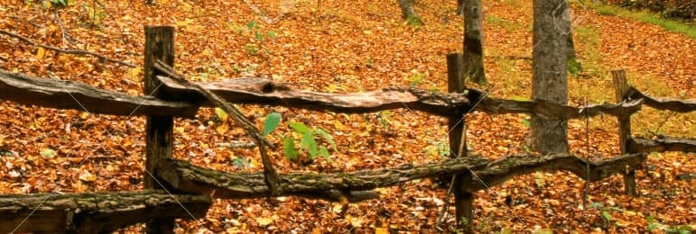 Gallery image 5 — chain link fence Suwanee
