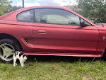 G&S Mobile Auto Repair photo