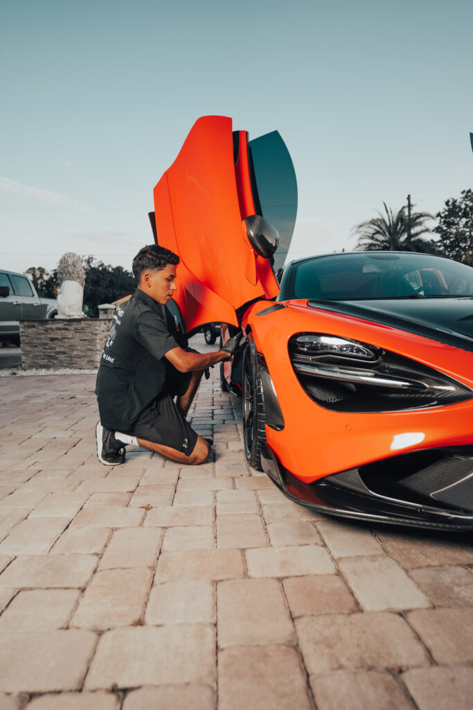 pet hair removal car detailing Orlando