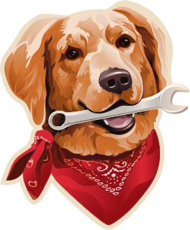 veteran owned plumber near me