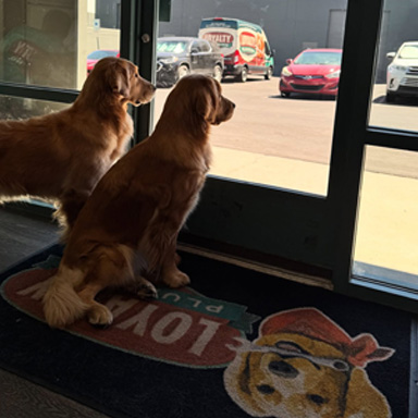 water softener installation Henderson photo