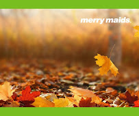 green cleaning San Jose