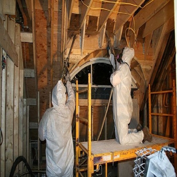 mold remediation Valley photo