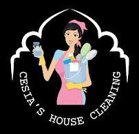 professional cleaners near me photo