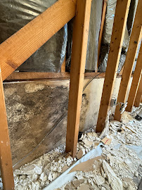 commercial mold remediation in Marietta