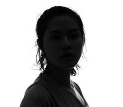 mold removal services near me