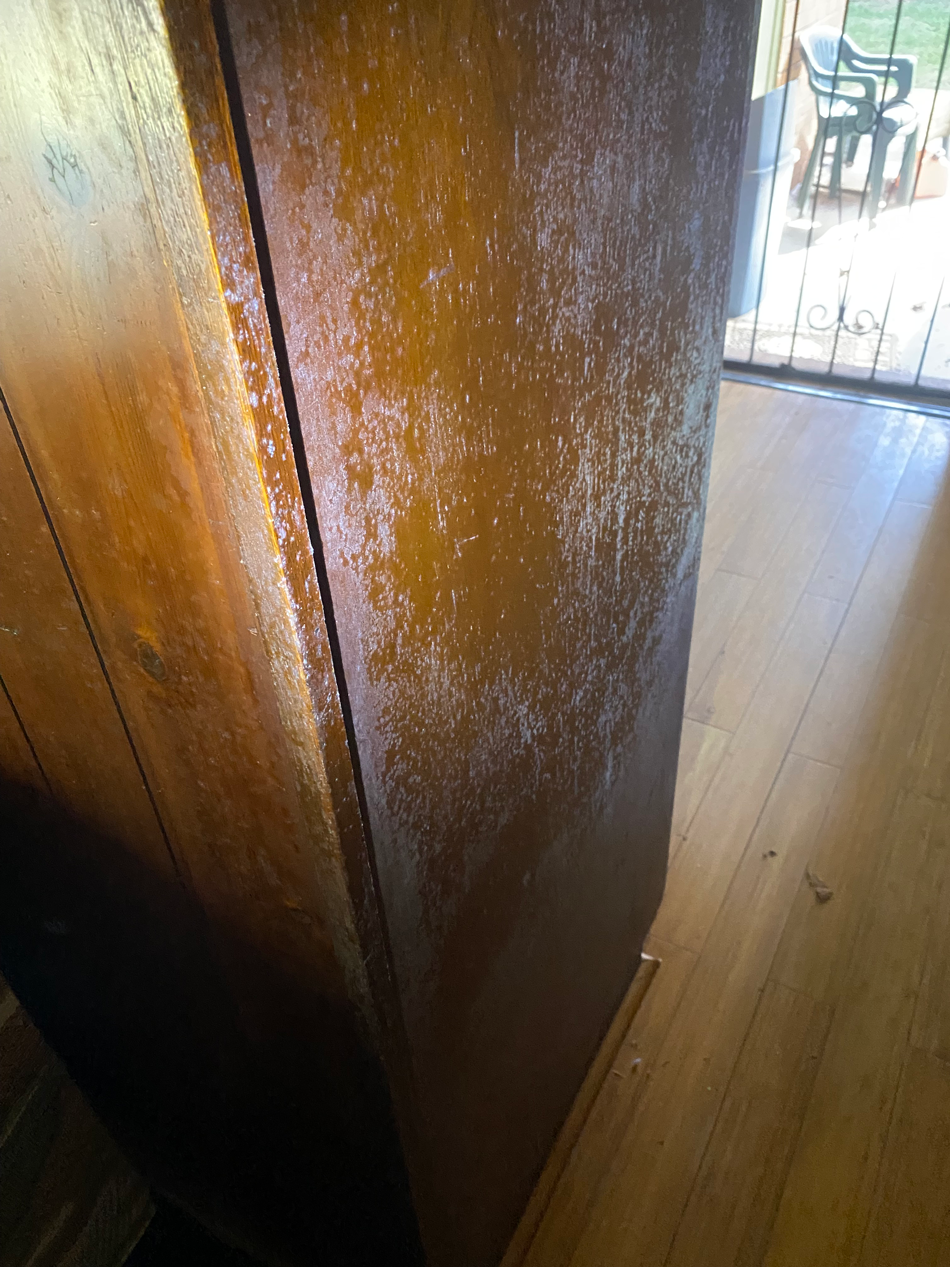 crawl space mold removal Gwinnett County photo
