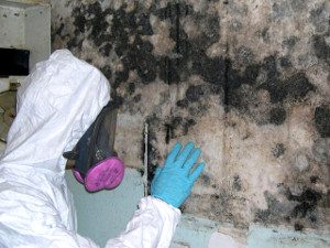 HEPA mold removal near me photo