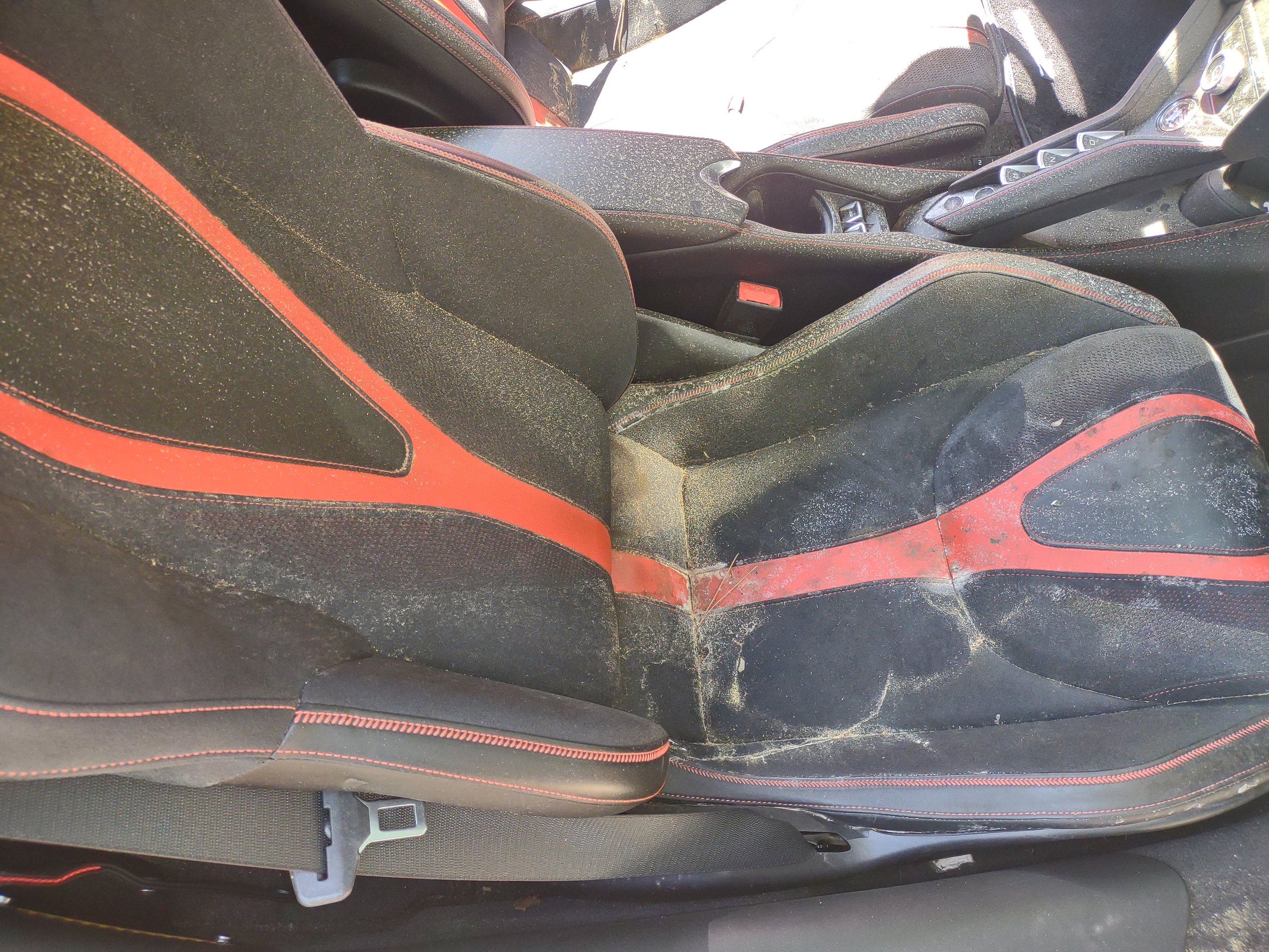 All Star Mobile Detailing & Mold Remediation photo