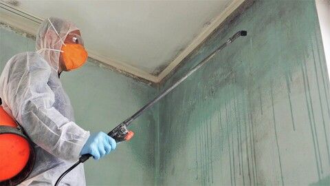 mold remediation Atlanta