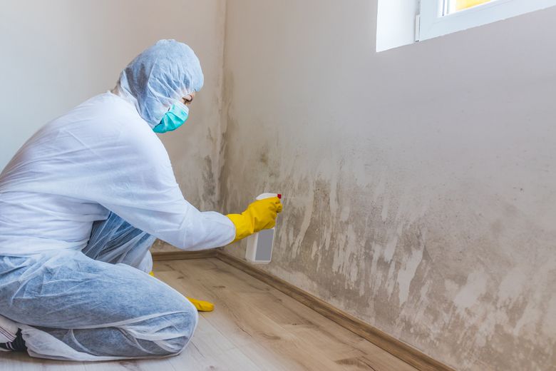 mold remediation Atlanta photo