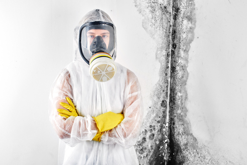 mold remediation Atlanta photo