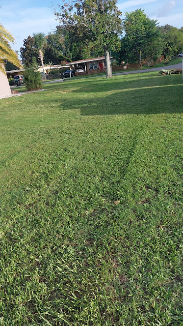 garden maintenance Jose & Jose Landscaping LLC