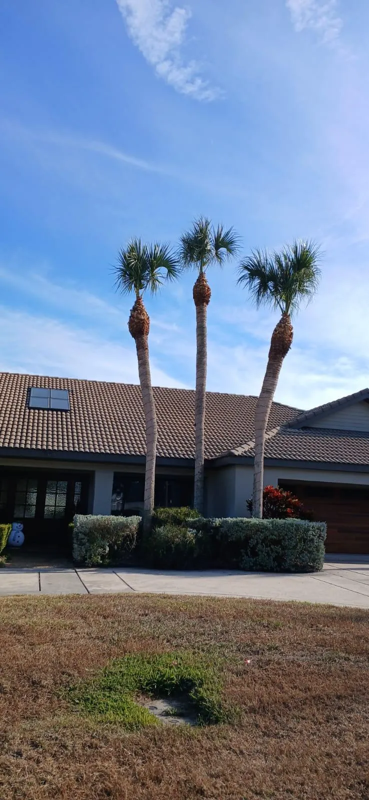 garden maintenance Jose & Jose Landscaping LLC photo