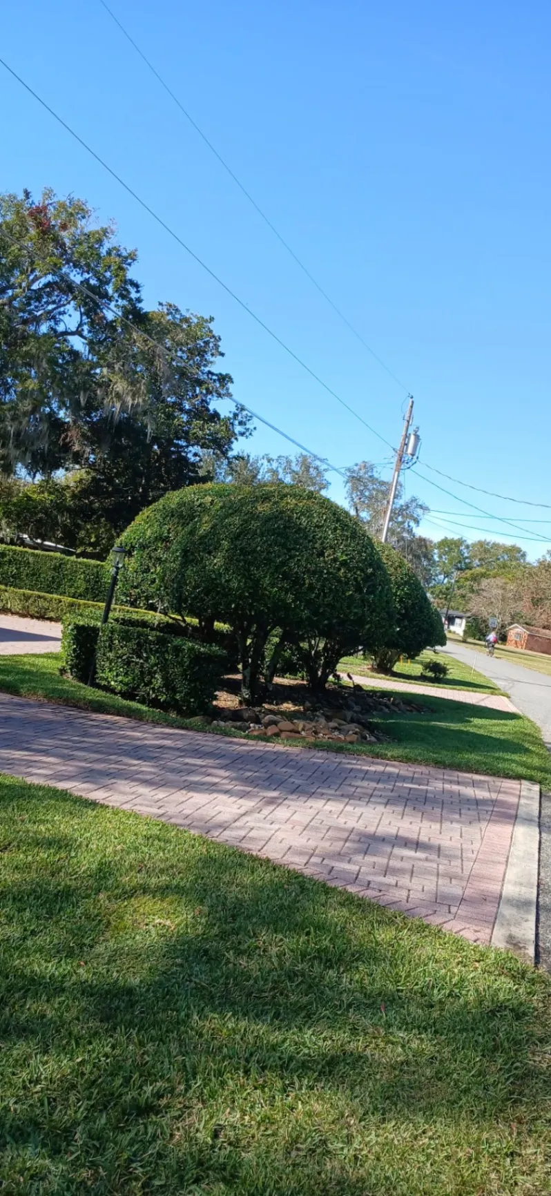 garden maintenance Jose & Jose Landscaping LLC photo