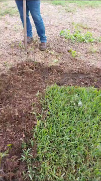 garden maintenance Jose & Jose Landscaping LLC photo