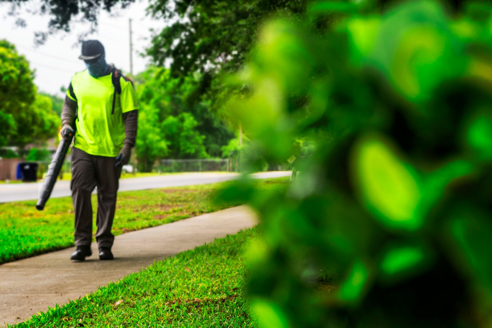 best lawn service in Central Florida photo