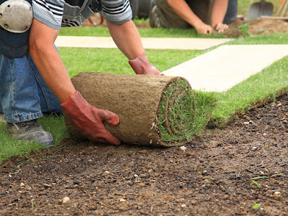 tree removal service Cocoa photo