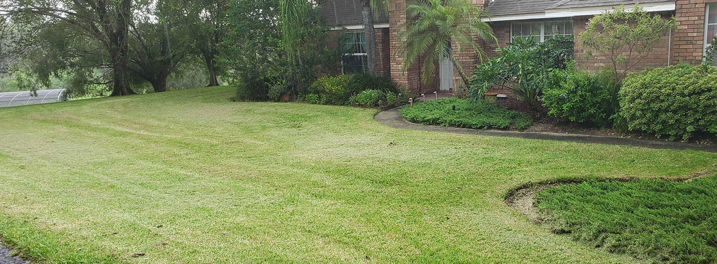 tree removal service Cocoa photo