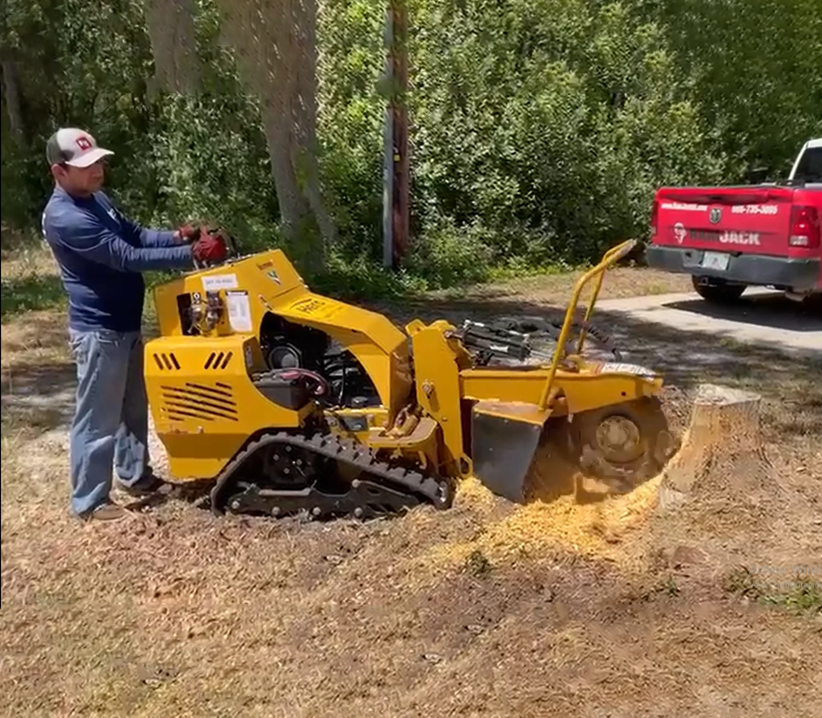 affordable lawn care near me