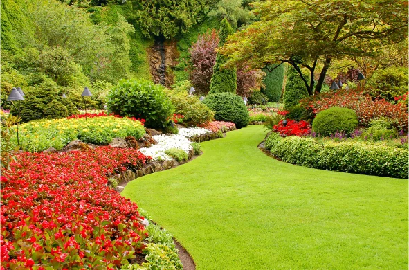 lawn care services Orlando photo