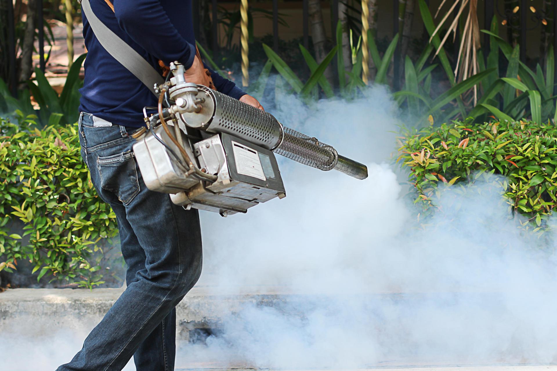 safe pest control %AREA% photo