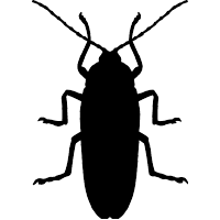 pet friendly pest exterminator Brighton photo
