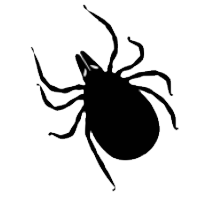 pet friendly pest exterminator Brighton photo