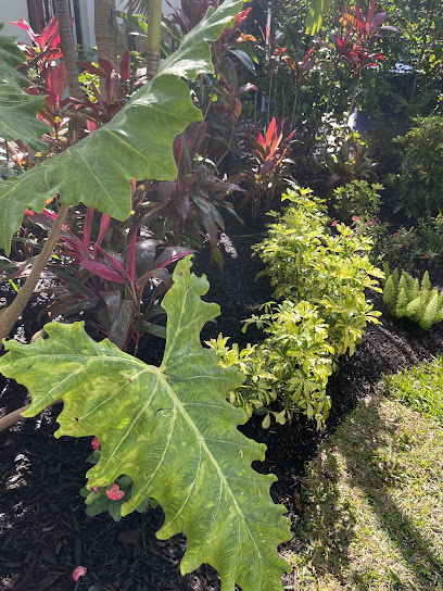 emergency tree removal South Florida