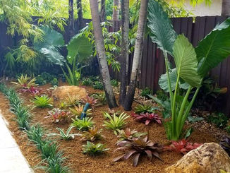 Nerak Co. Landscaping photo