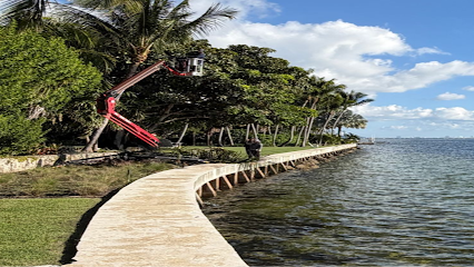 tree pruning Miami photo