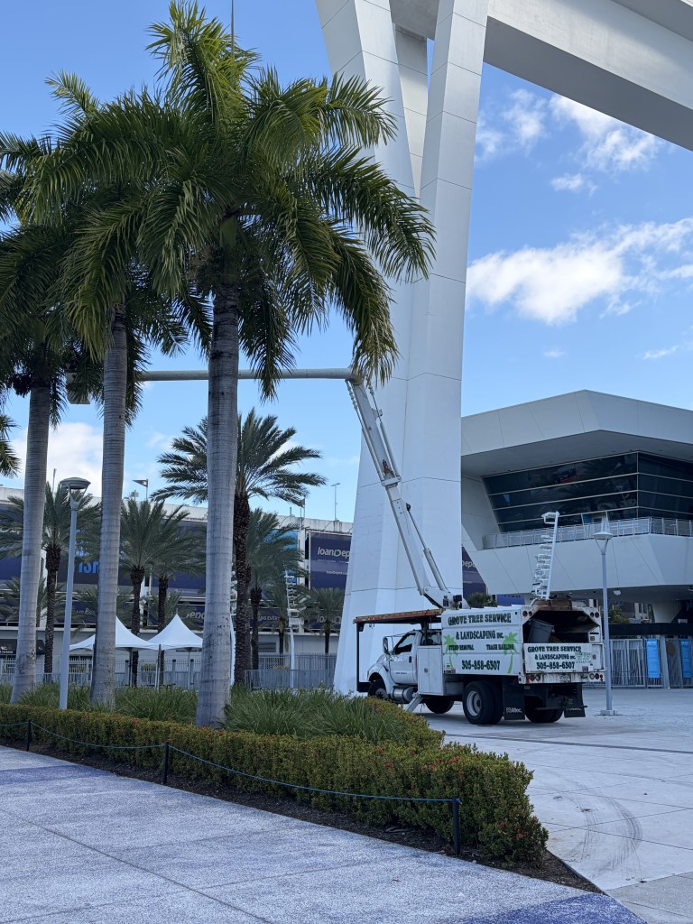 tree pruning Miami photo