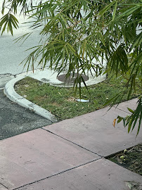 Superior Landscaping & Lawn Service photo